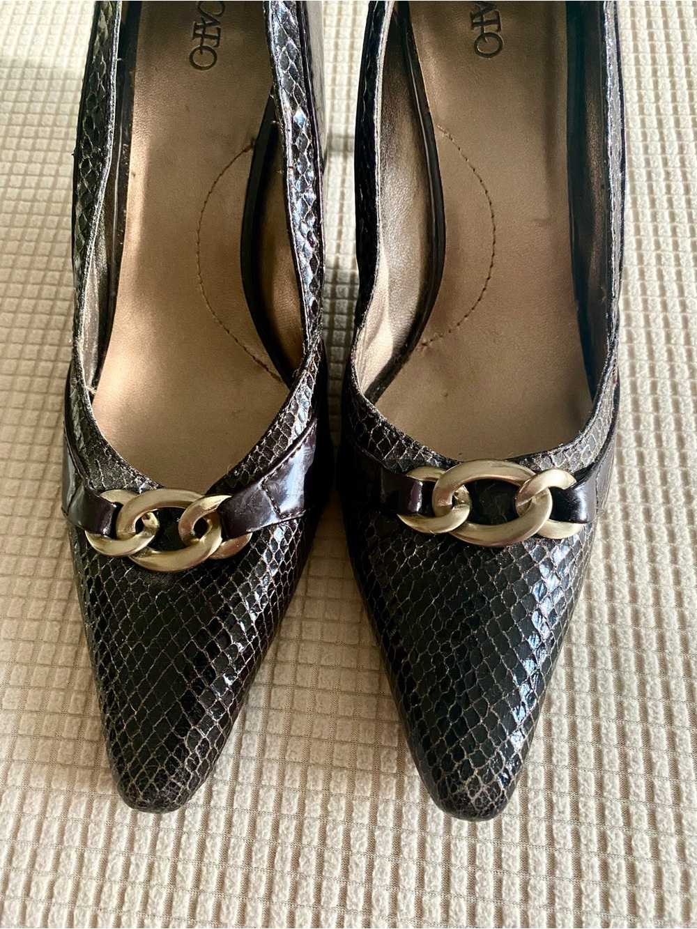 Cato Brown Snakeskin-Texture Pointed Toe Pumps with Gold Chain